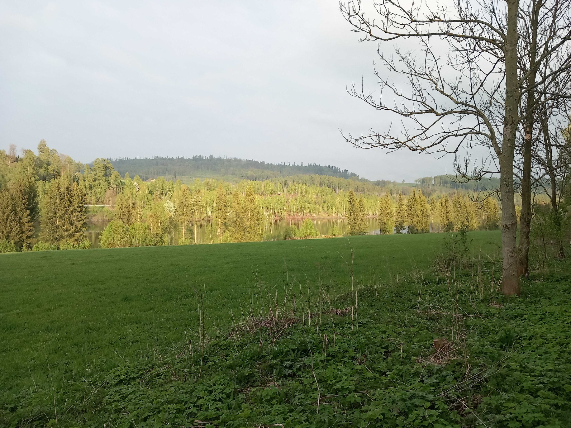 Přehrada Slezská Harta